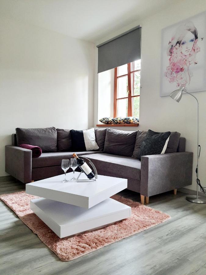 Apartman Spalovka Novy Bor Exterior photo